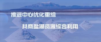 國(guó)家鹽湖資源綜合利用工程技術(shù)研究中心第四屆技術(shù)委員會(huì)會(huì)議召開